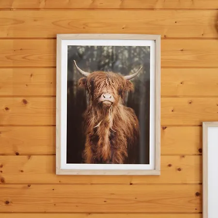 Snowkaya By Interhome Apartmán *