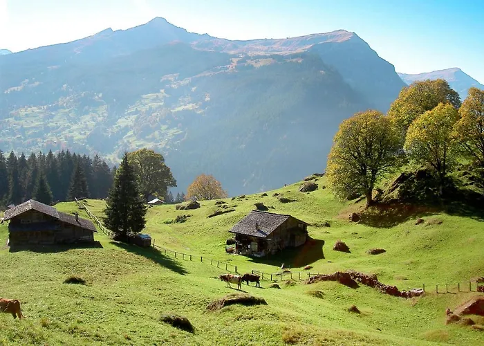 Snowkaya By Interhome *